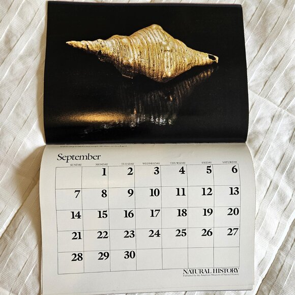 1980 Calendar "GOLD of El DORADO: THE HERITAGE OF COLOMBIA" - Picture 12 of 16